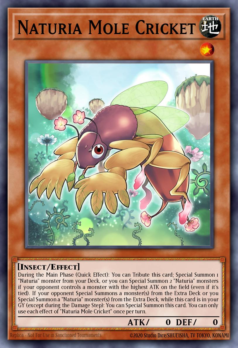 Naturia Mole Cricket DABL-EN020