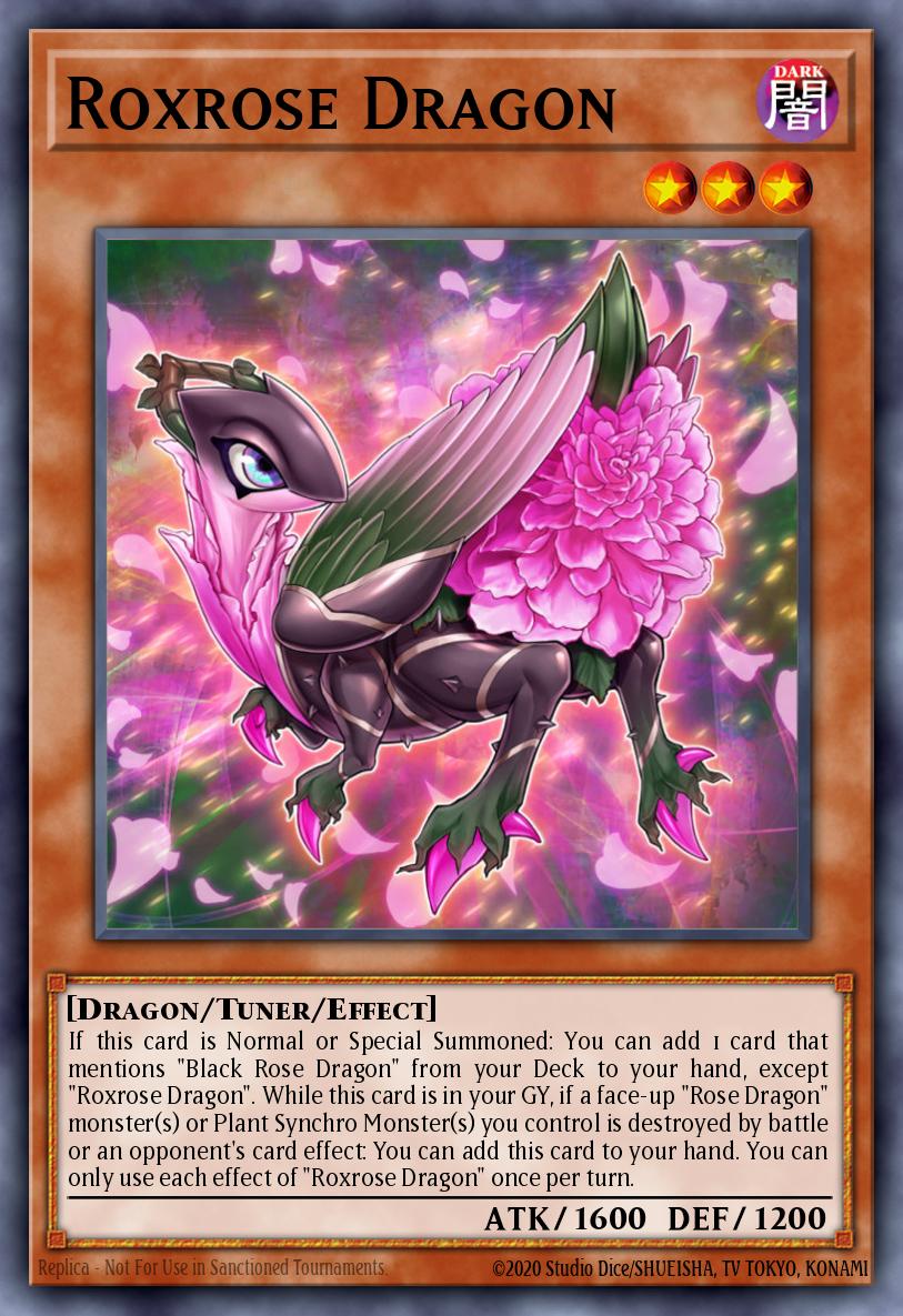 Roxrose Dragon LIOV-EN009