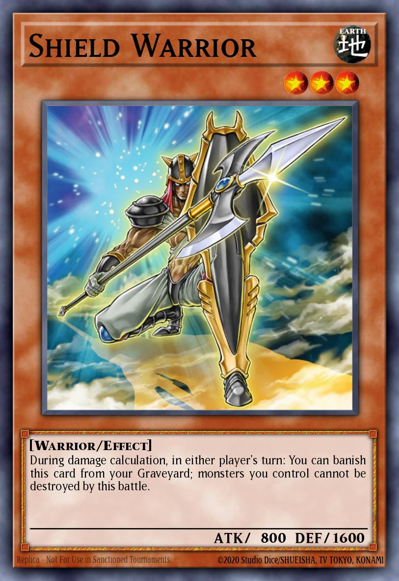Shield Warrior 