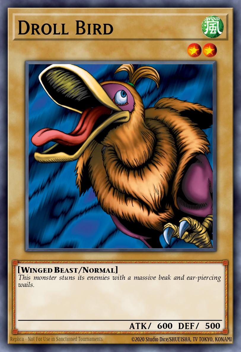 Droll Bird WCPP-EN001
