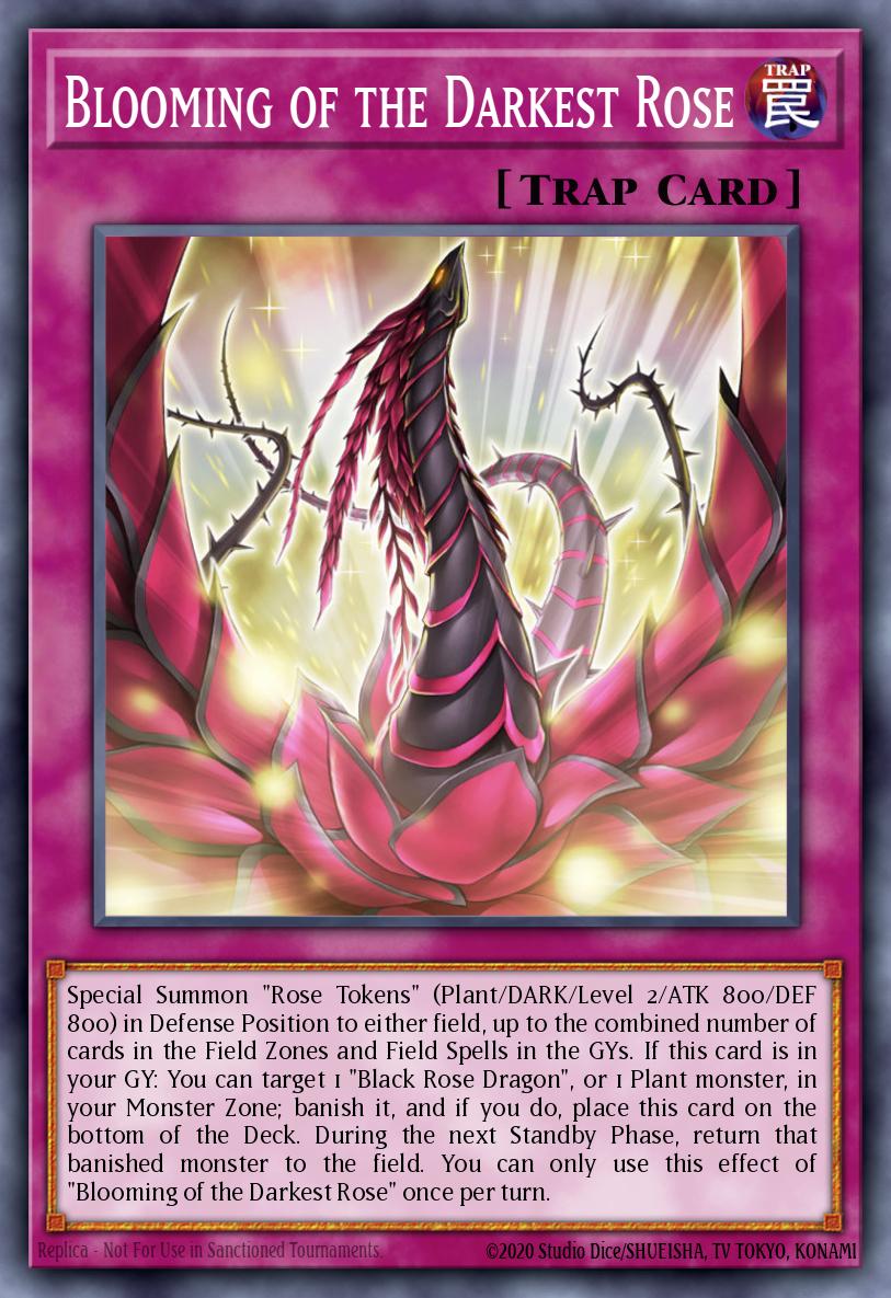 Blooming of the Darkest Rose LED4-EN027